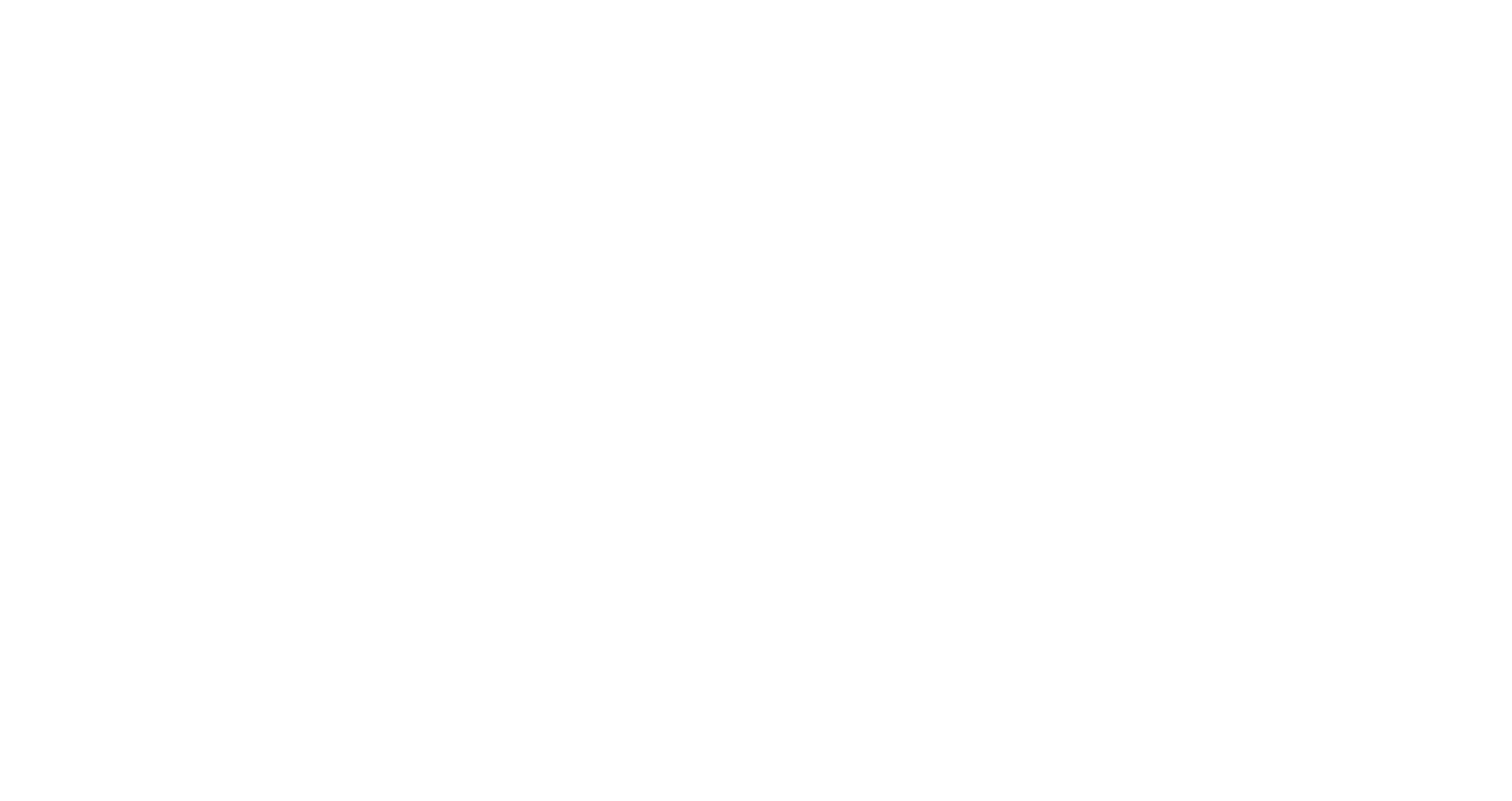 CAptain logo whaite (1)